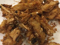 -正能量脆肉鲩火锅