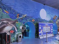 -乐从天佑城海洋馆