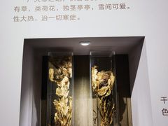 -北京中医药大学-中医药博物馆