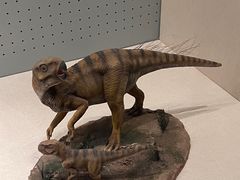 -辽宁古生物博物馆