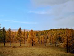 -塞罕坝国家级自然保护区