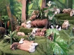 -济州岛泰迪熊博物馆