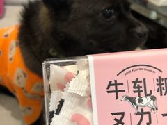 -好利来(道前街店)