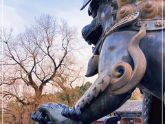 -香山公园