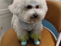 -FAELING PETS美天灵宠物(合生汇店)