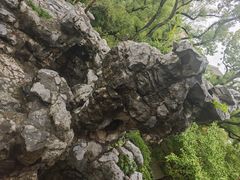 -汇龙潭