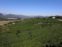 -湖南四明山国家森林公园
