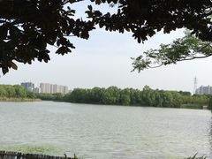 -昆山城市生态森林公园