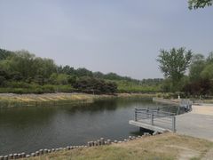 -大兴滨河森林公园