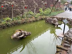 -燊海井