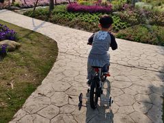 -上海长兴岛郊野公园