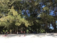 -东姑阿都拉曼海洋公园