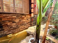 -单家老院·院子里的青岛菜(沙子口店)