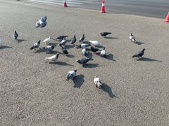 -大连人民广场
