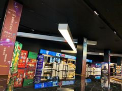 -奥斯卡升龙国际影城(RealD Cinema)