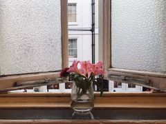 -澳洲牛奶公司(佐敦店)