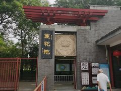-莲花池公园