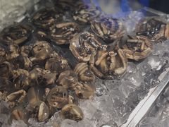 土笋冻-铭聚章鱼土笋冻(松柏店)