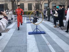 -北京化工大学(东校区)