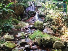 -莫干山风景区