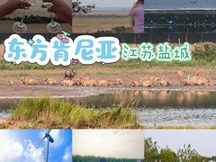 -黄海国家森林公园