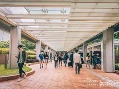 -香港大学