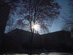 -山东农业大学(岱宗校区)