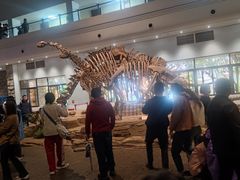 -自贡恐龙博物馆