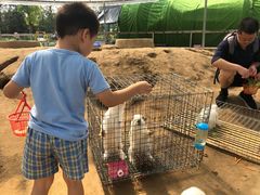 -前小桔亲子创意农场·草莓采摘·露营烧烤