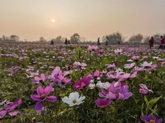 -汉长安城未央宫国家考古遗址公园