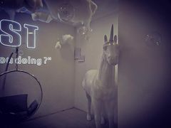-深圳独角兽星空艺术馆