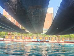 -海悦游泳馆