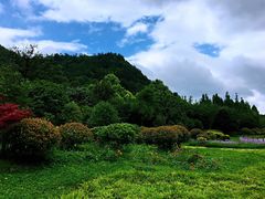 -贵阳市花溪国家城市湿地公园