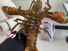 -桃源市场(解放路店)