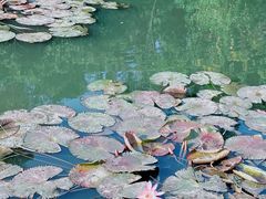 -白沙门生态公园