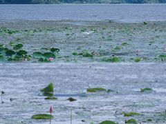 -东钱湖旅游度假区