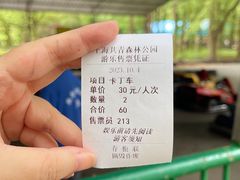 -上海共青森林公园