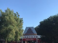 -布尔津河堤夜市