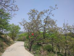 -焦作青龙峡风景名胜区