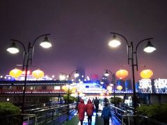 -武汉两江游览·夜游长江(汉口粤汉码头)