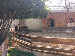 -HERRE·FARM 赫尔露营农场·团建聚会包场