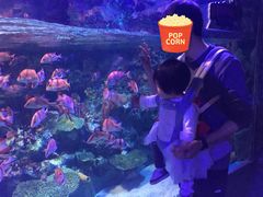 -海合安成都极地海洋公园