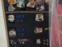 -小时光咖啡馆(北锣鼓巷店)