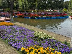 -上海鲜花港