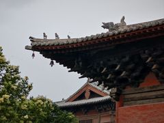 -善化寺