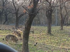 -西安秦岭野生动物园
