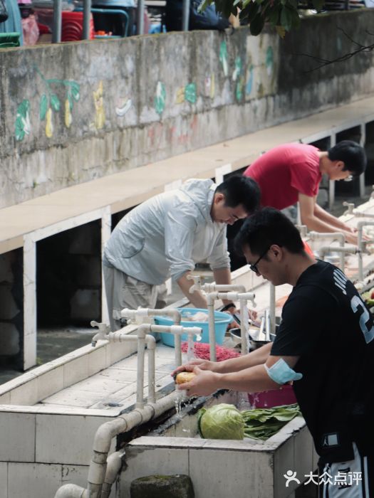 松山湖南湖湾露营营地图片