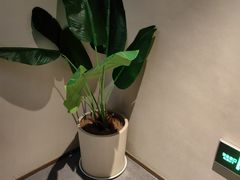 -泰合玺·精油疗愈 SPA(南京河西万达店)