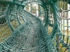 android_upload_pic-广东茂名森林公园