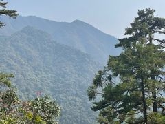 -东天目山风景区